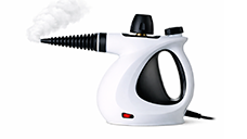 Limpiador de vapor